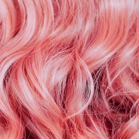 Silver Membership Level 1-3 at The Hair Spa in Clifton, New Jersey, NJ